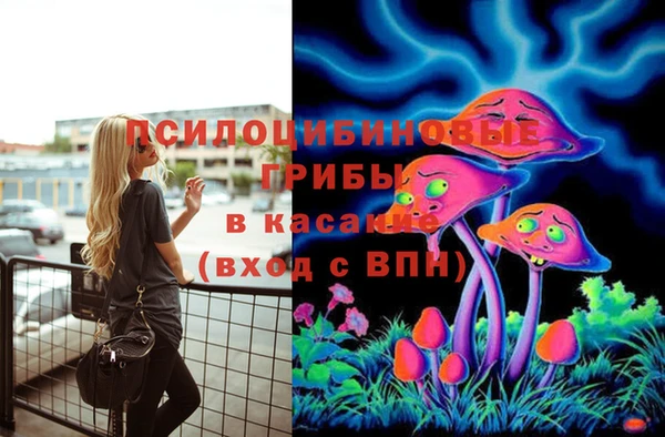 дурь Дмитров