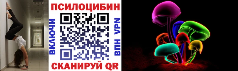 omg онион  Новотроицк  Галлюциногенные грибы Psilocybine cubensis 
