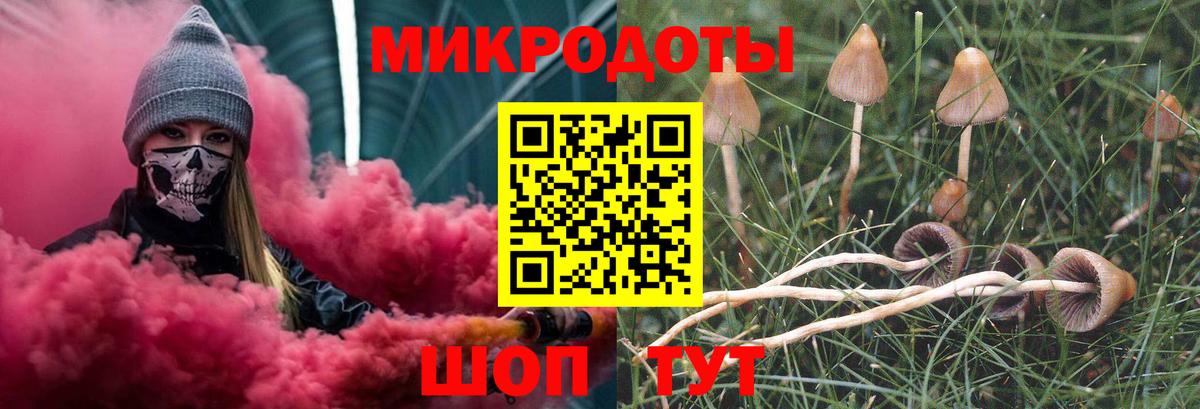 Новотроицк  Псилоцибиновые грибы мухоморы  Вход с VPN 